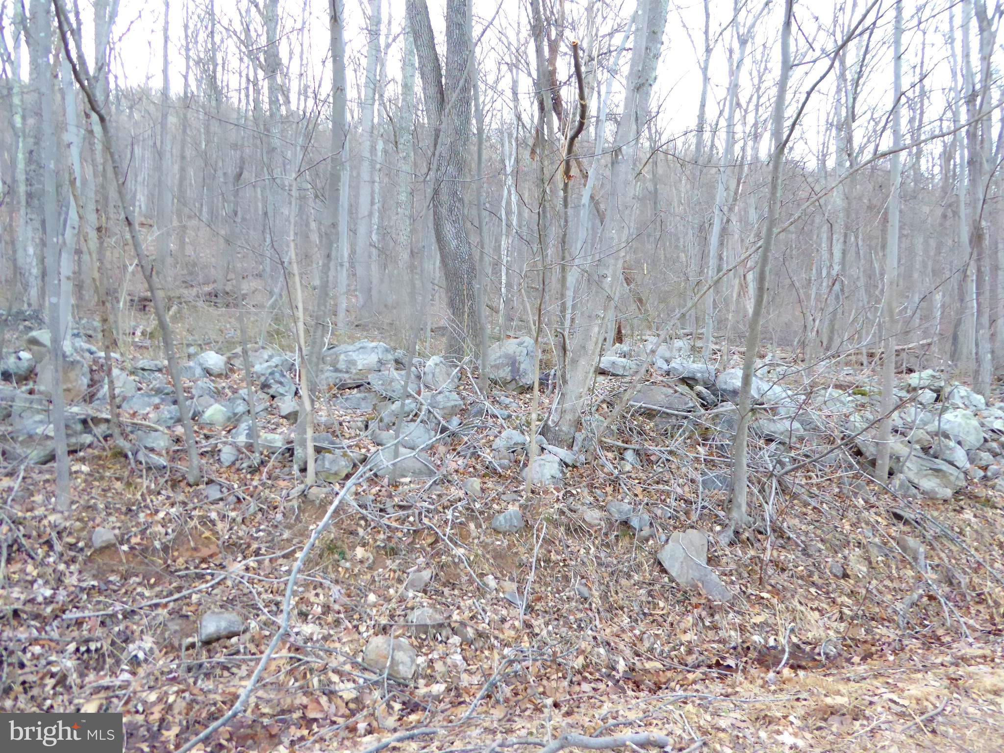 EAGLE MOUNTAIN - Land