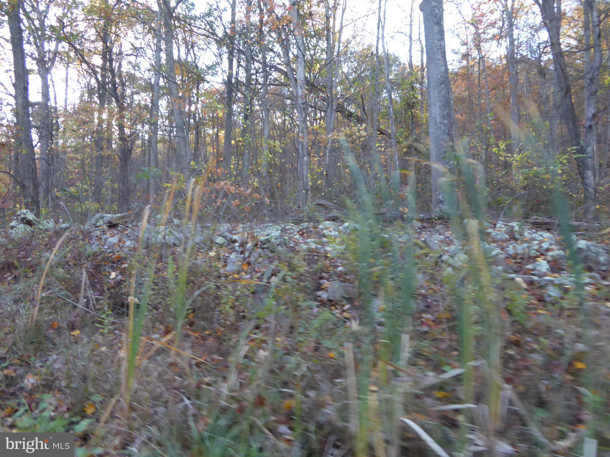 EAGLE MOUNTAIN - Land