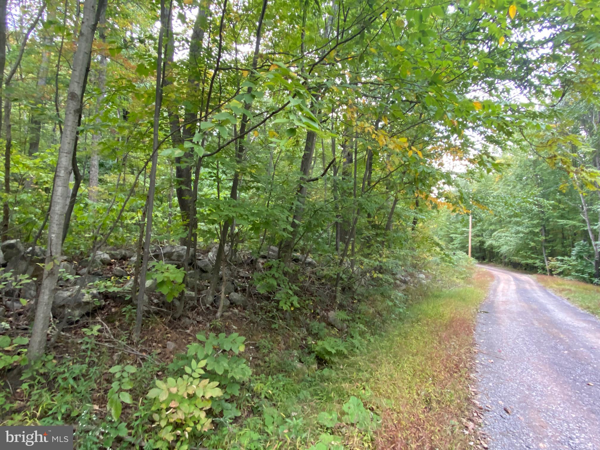 HERE IS YOUR CHANCE TO OWN A PIECE OF WILD AND WONDRFUL WEST VIRGINIA. THIS 13 PLUS ACRE MATURE HARDWOOD WOODED PARCEL OFFERS A PLACE TO CAMP OR BUILD YOUR WEEKEND RETREAT. PROPERTY HAS GENTLE UPWARD SLOPES. THIS PROPERTY DOES ALLOW MANUFACTURED HOMES AS WELL. IF YOU LIKE TO FISH, KAYAK, OR CANOE THERE IS PUBLIC ACCESS TO THE GREAT CACAPON RIVER JUST A SHORT DRIVE AWAY. COME RELAX, GETAWAY FROM THE STRESS ENJOY THE SOUNDS OF THE QUIET COUNTRY LIFE.