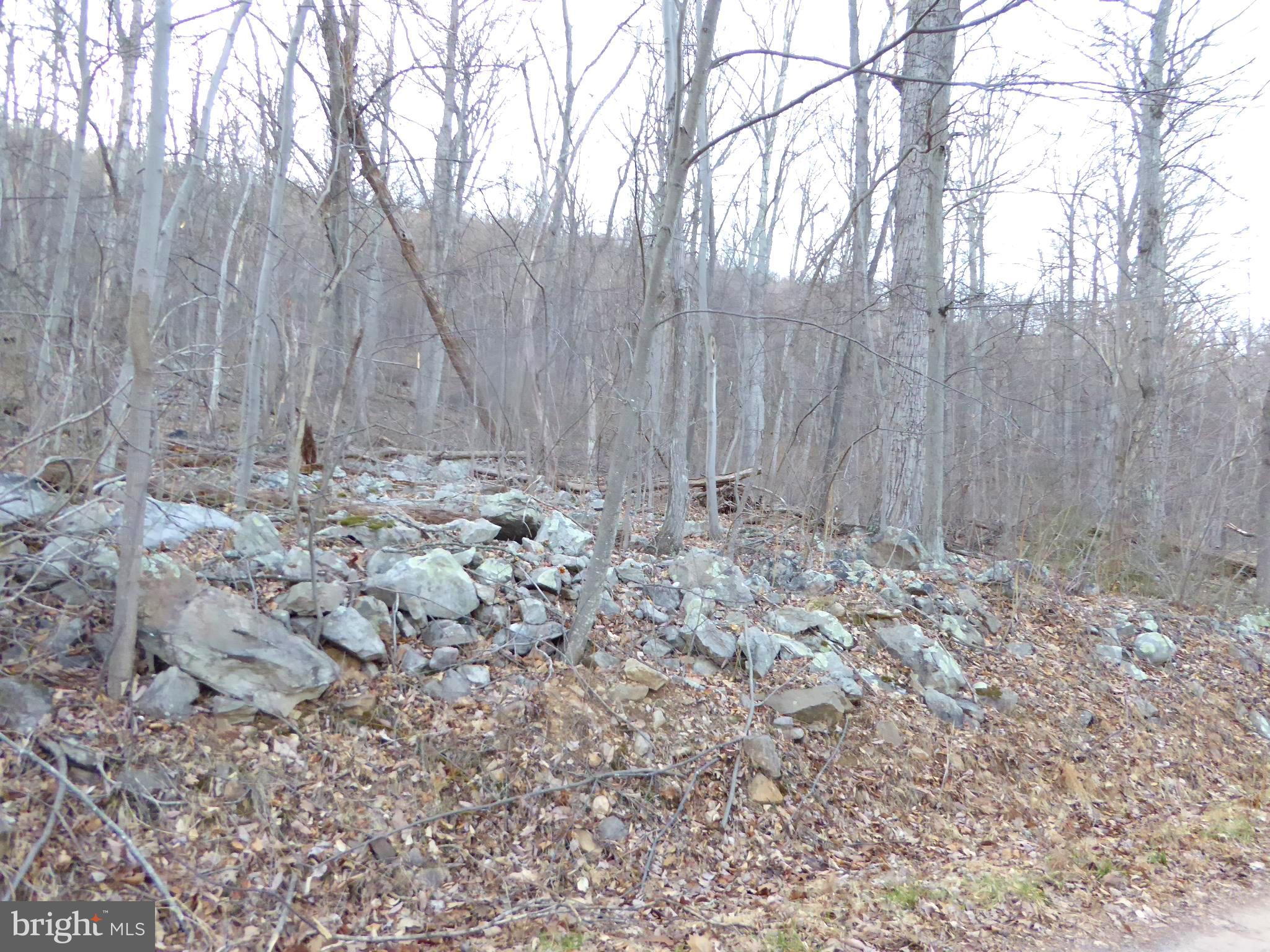 EAGLE MOUNTAIN - Land