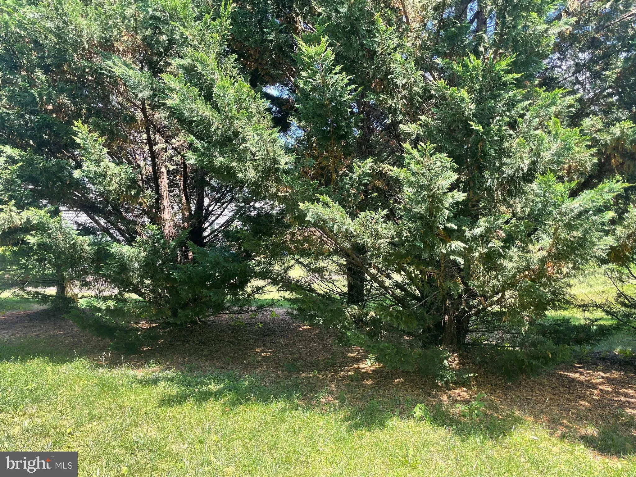 Stephens City, Virginia 22655, United States, 3 Bedrooms Bedrooms, ,3 BathroomsBathrooms,Residential,Active,123542