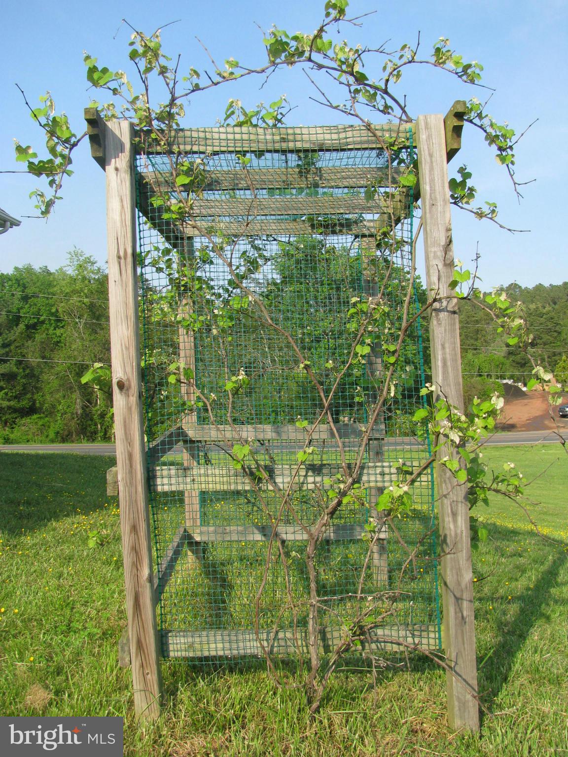 CEDAR RUN KNOLLS - Residential