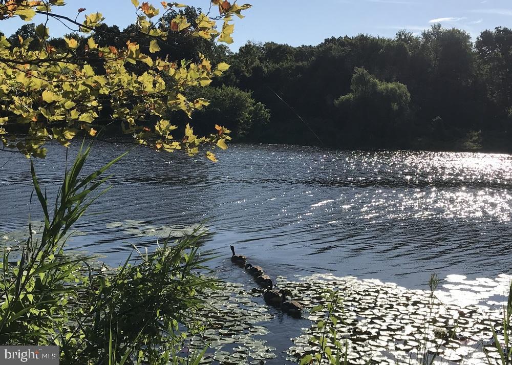 BERWYN HEIGHTS - Residential