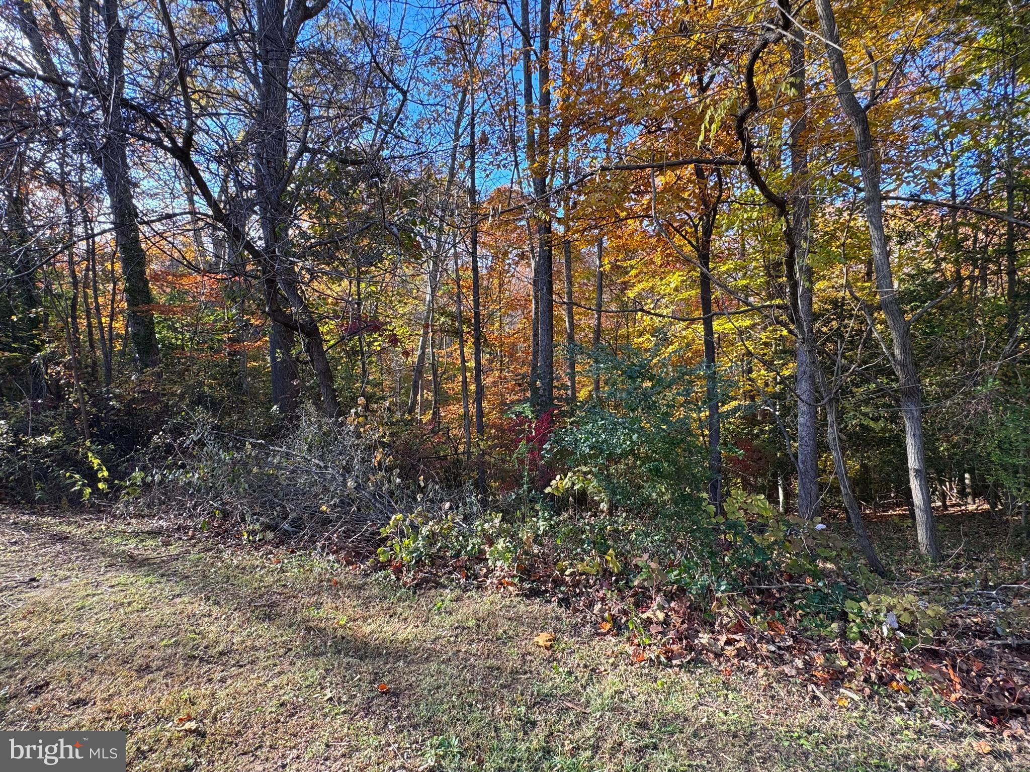 RIVERWOOD FARMS - Residential