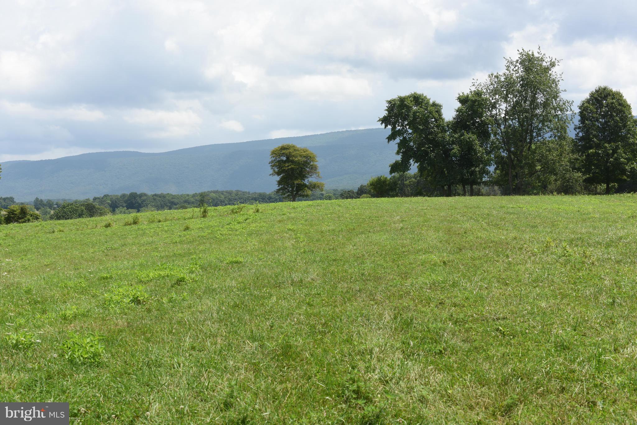 NONE AVAILABLE - Farm