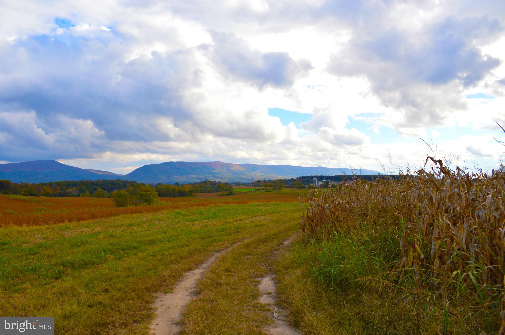 NONE AVAILABLE - Farm