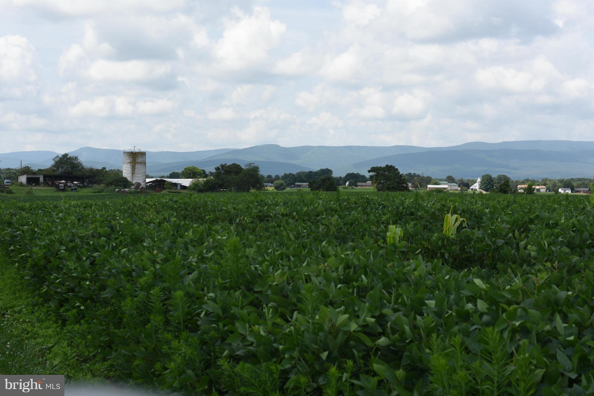 NONE AVAILABLE - Farm