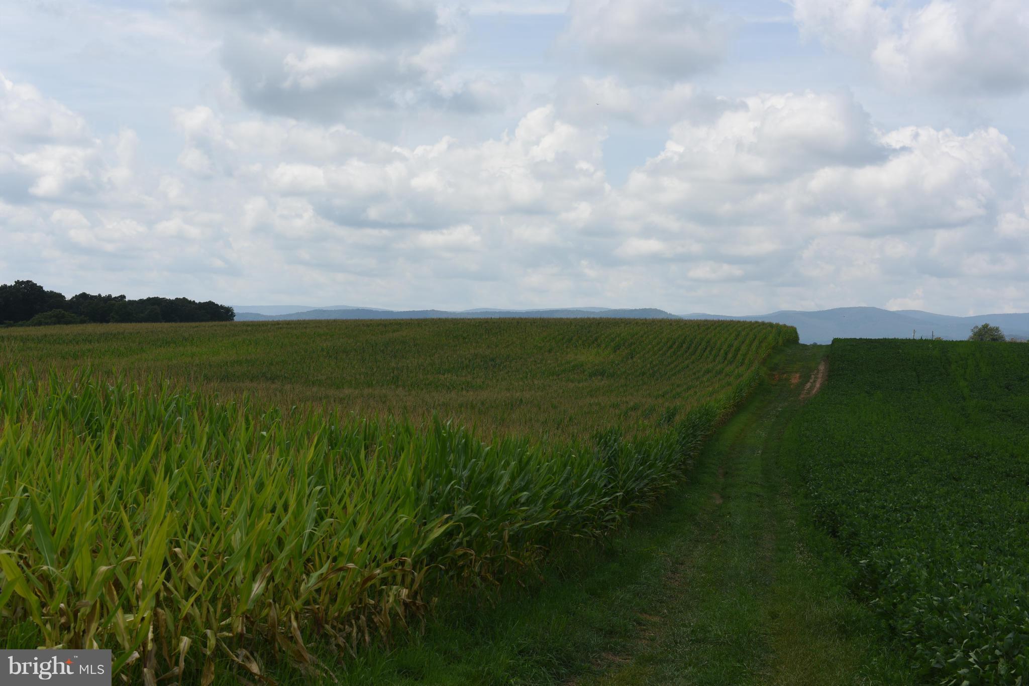 NONE AVAILABLE - Farm