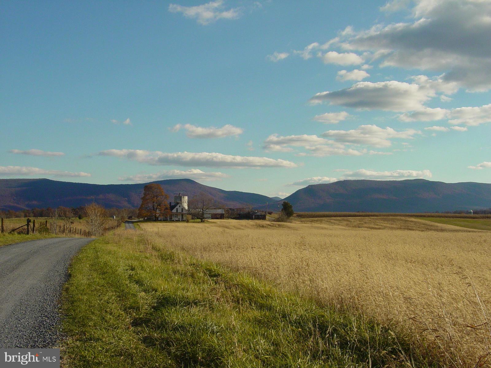 NONE AVAILABLE - Farm