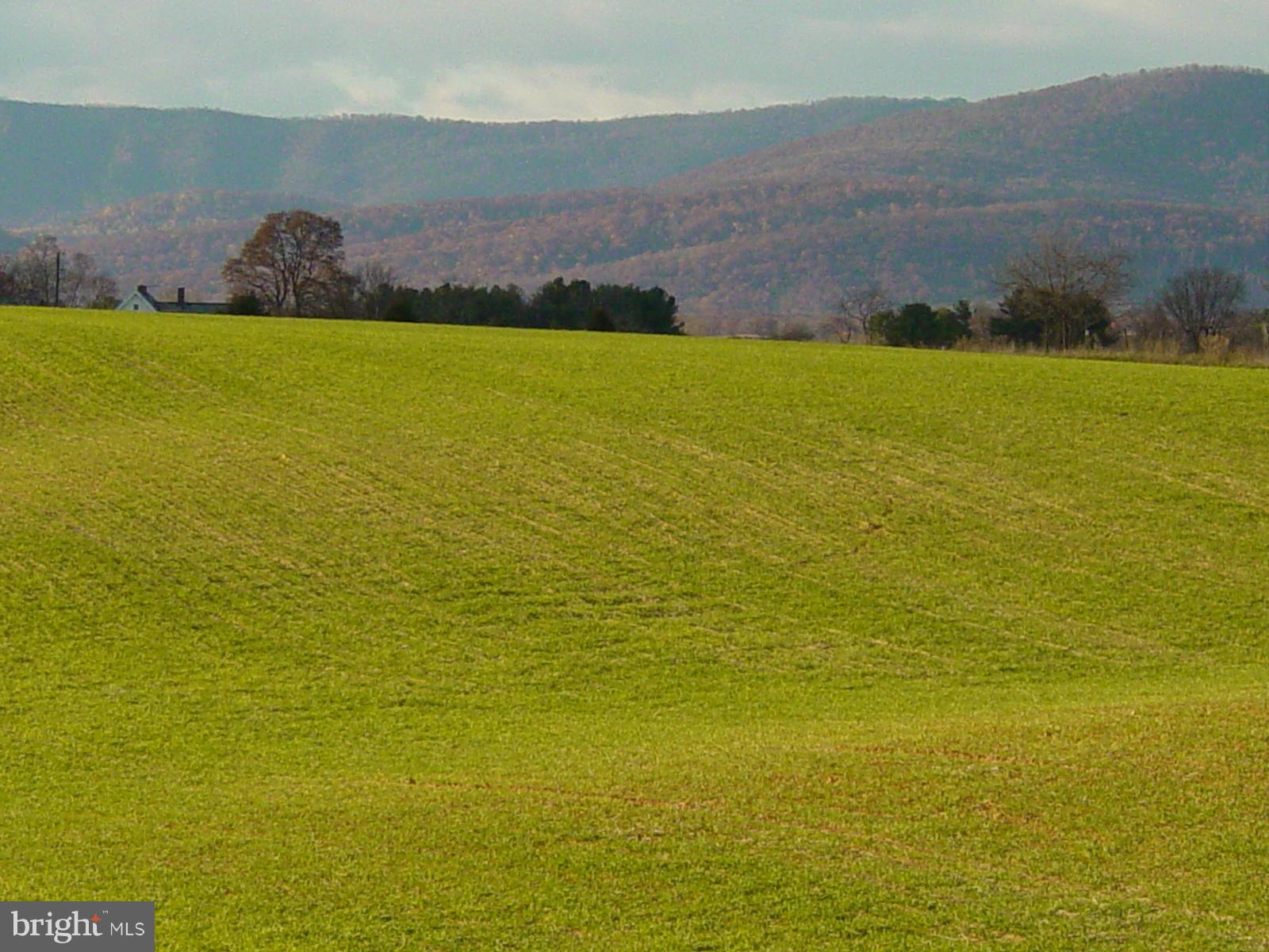 NONE AVAILABLE - Farm