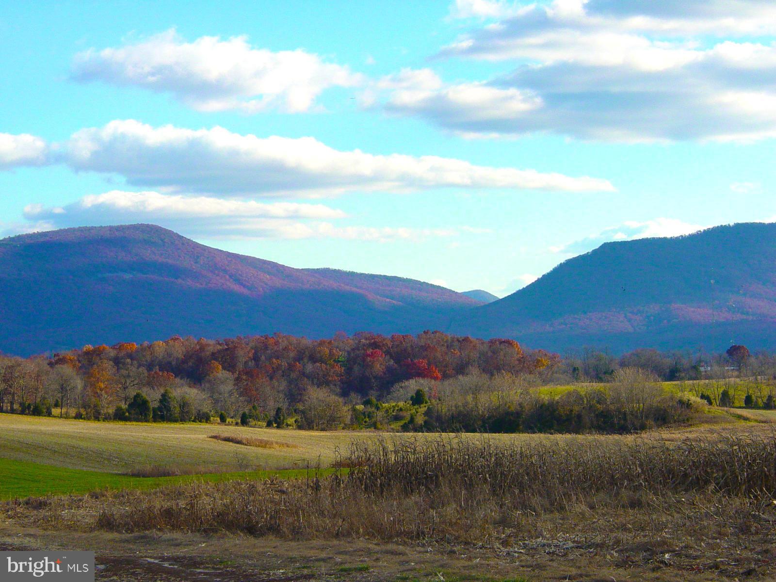 NONE AVAILABLE - Farm