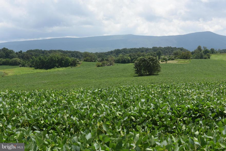 Beautiful Shenandoah Valley!  The property is located minutes to the town of Woodstock.  481 acres of prime land comprised of 11 parcels.  Gently sloping with 360 degree views of the Blue Ridge, Allegheny and Massanutten Mountains.  The property offers a 2000 sq. ft. farm house with several outbuildings, pond, open fields and woods. Currently in land use. Development potential.