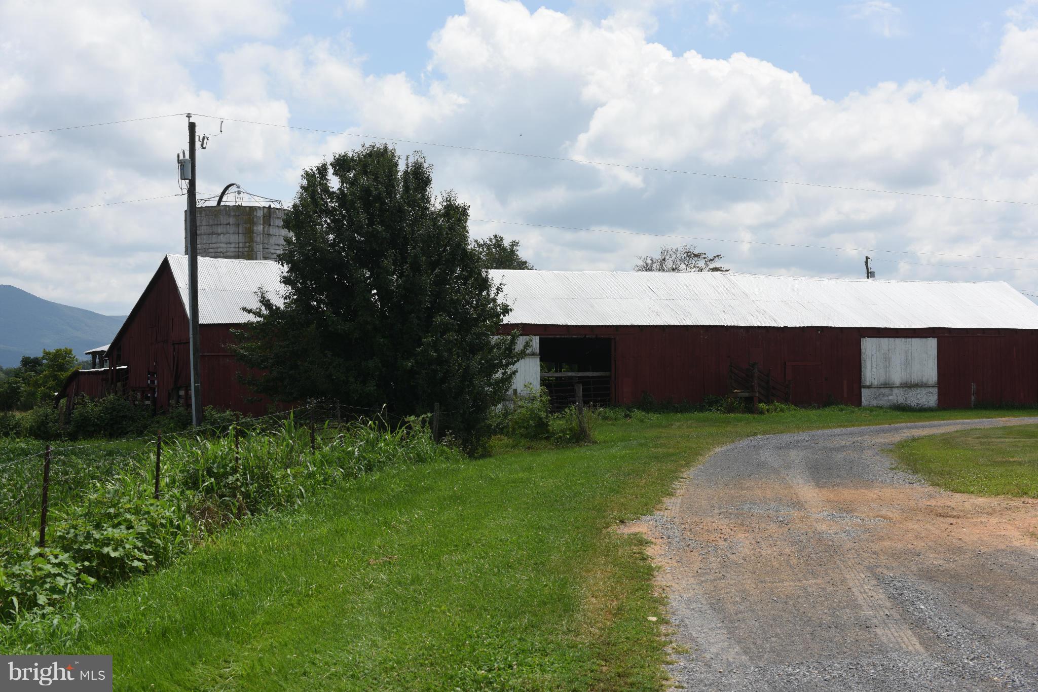 NONE AVAILABLE - Farm