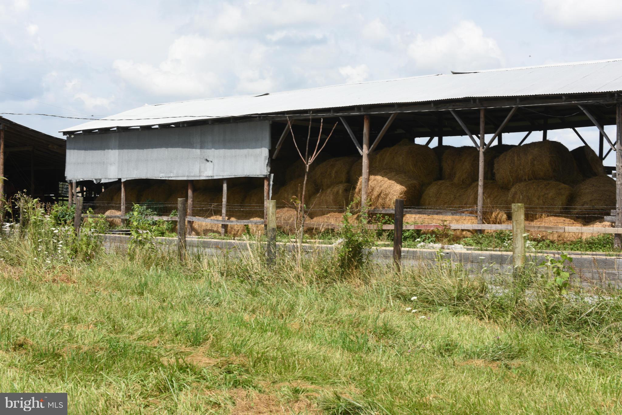 NONE AVAILABLE - Farm