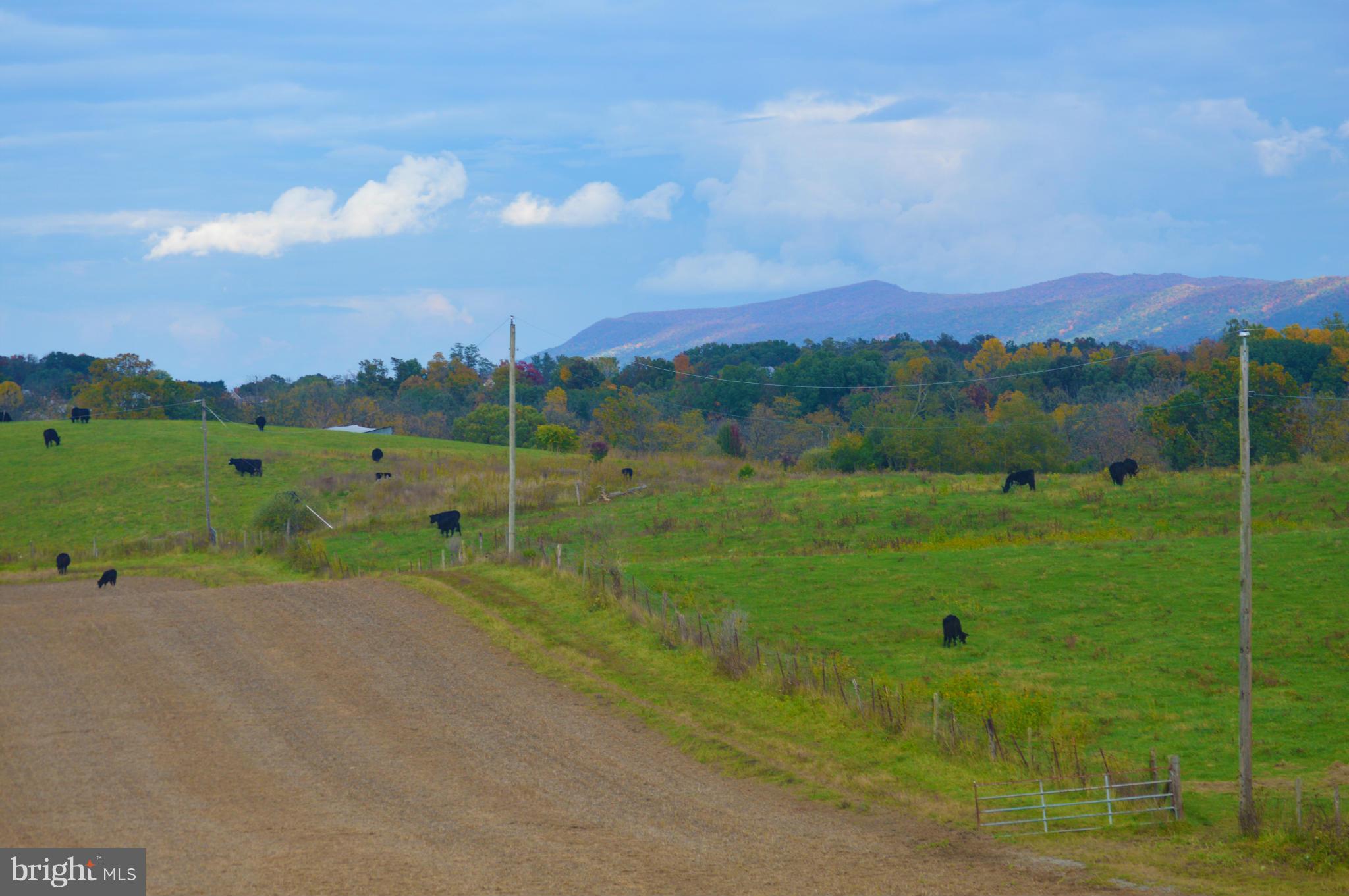 NONE AVAILABLE - Farm