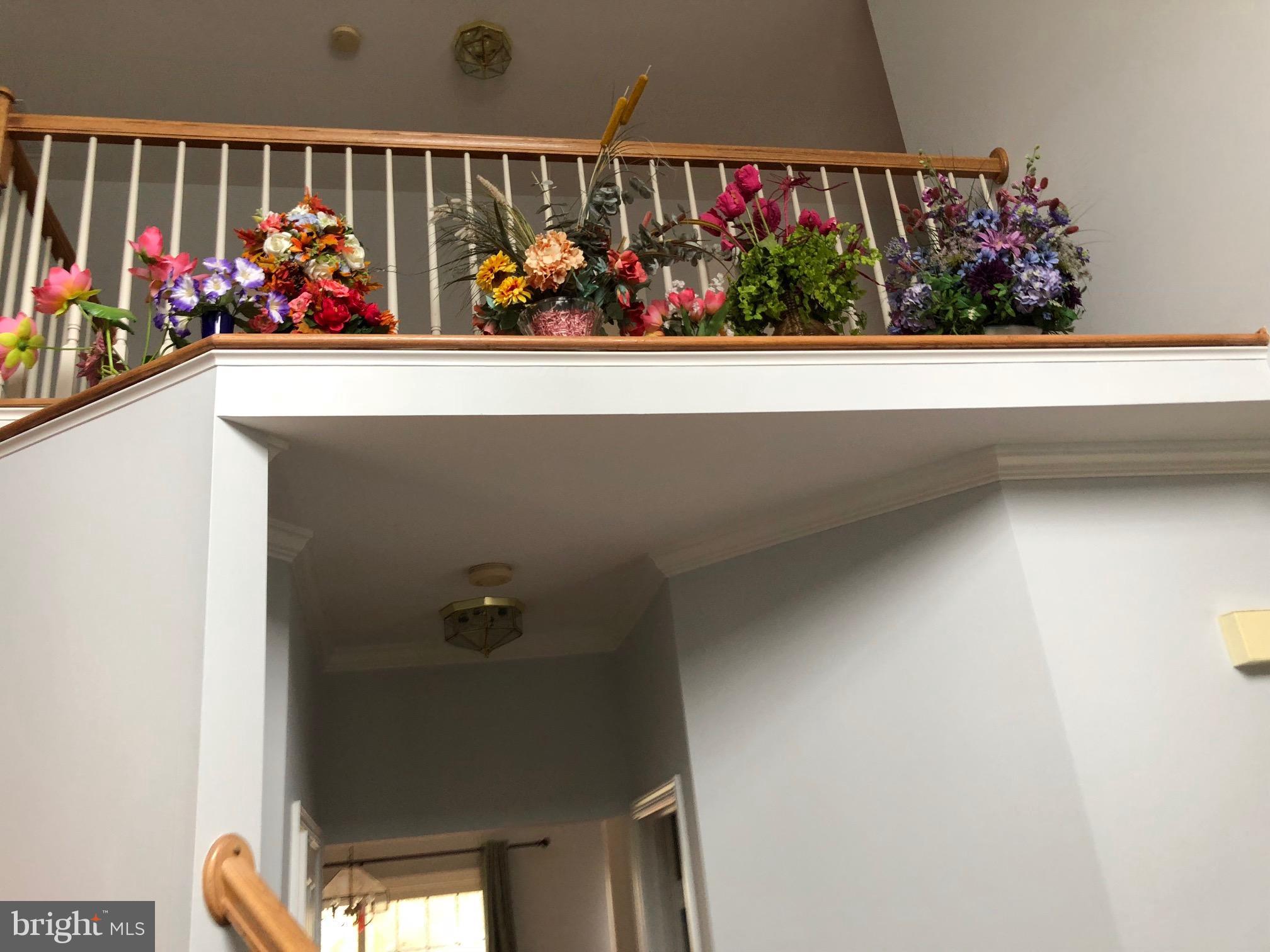 POLO FIELDS - Residential