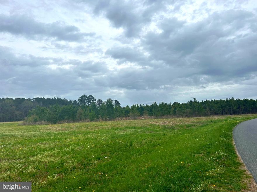 Ten acres open ground fronting on Backbone Road, outside of Princess Anne, Md.    Plat in documents.