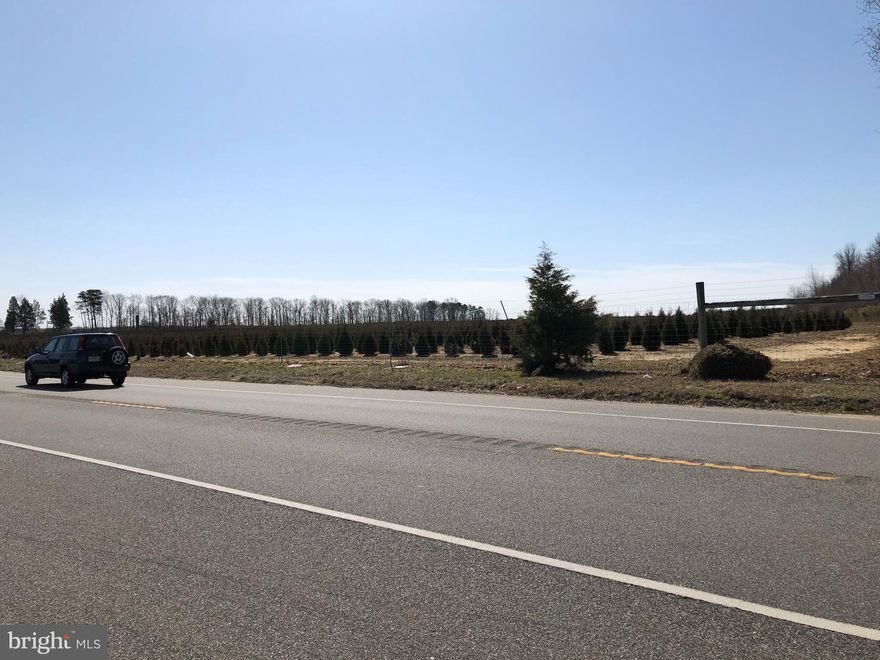 33 Acres of flat agriculture land, on West Rt. 49 across from Sugarman Avenue.   Farmed by Tree Nursery farmer, leased fpr 5 years, for $20,000/year.   Lease is up in December 2029.
Irrigation equipment is not included.  Do not walk on fenced-in farmed area.