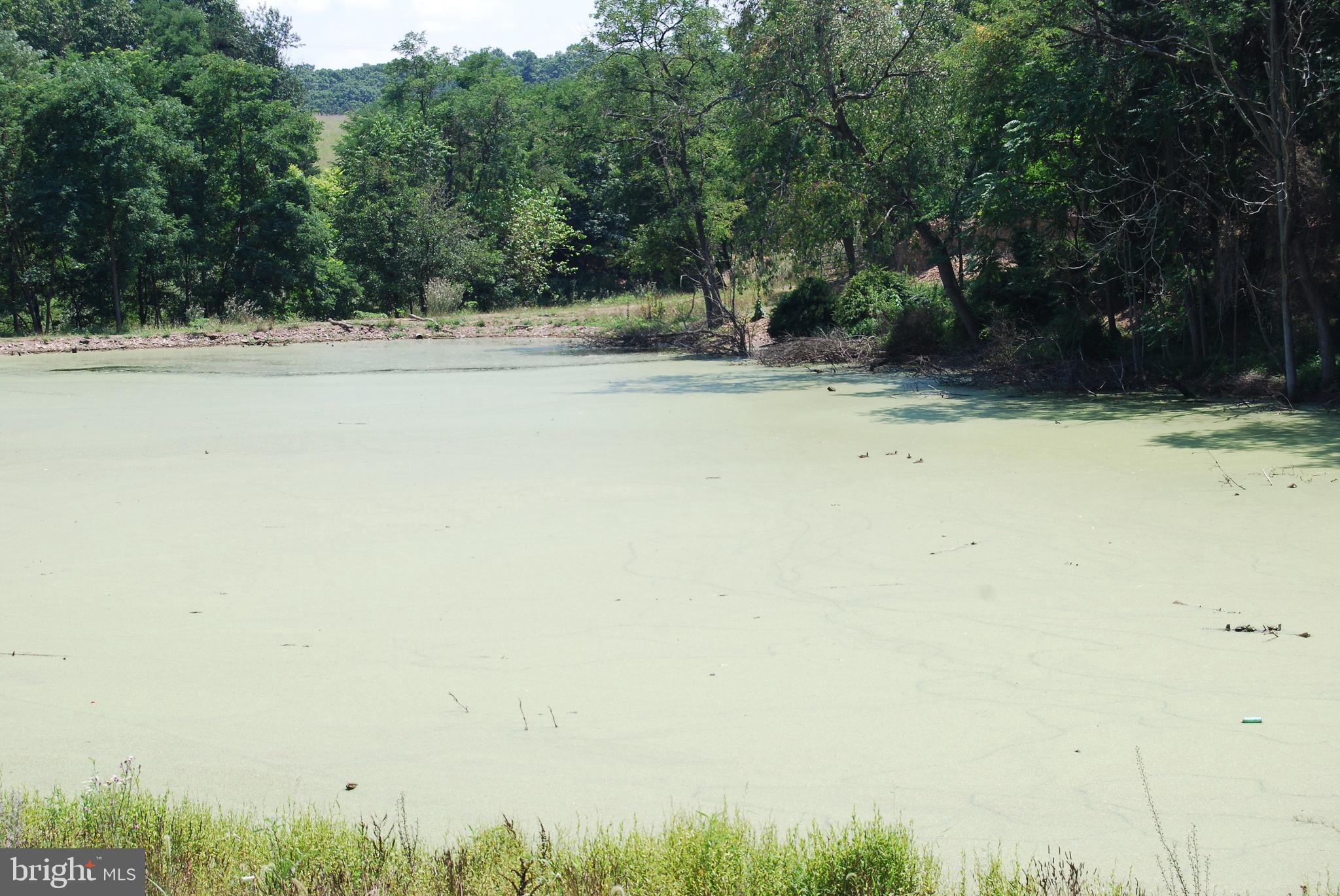 FOREST HEIGHTS - Residential