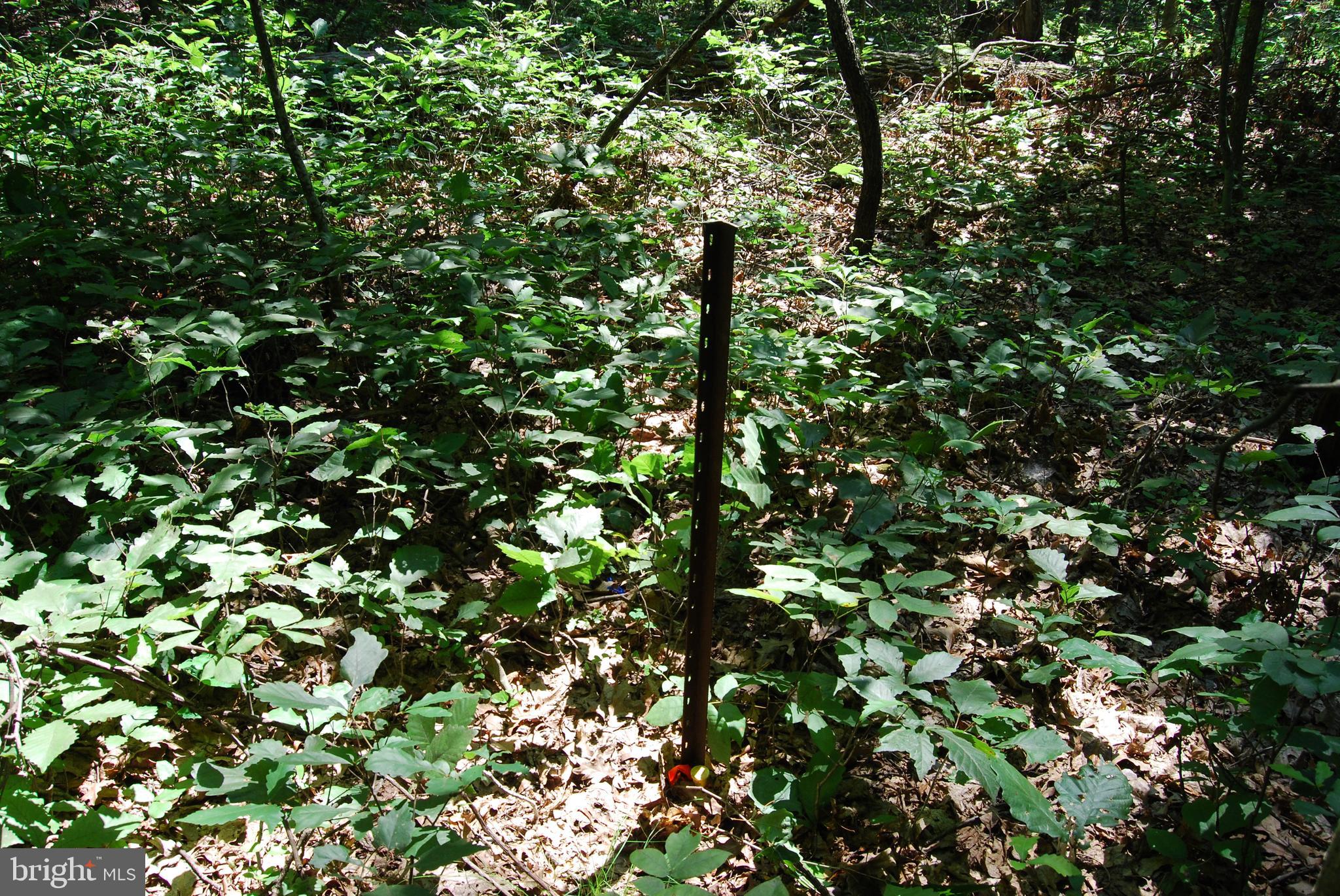 FOREST HEIGHTS - Residential