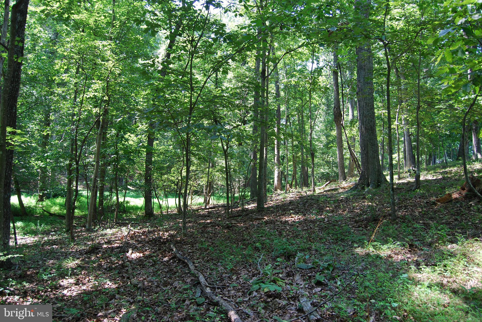 FOREST HEIGHTS - Residential