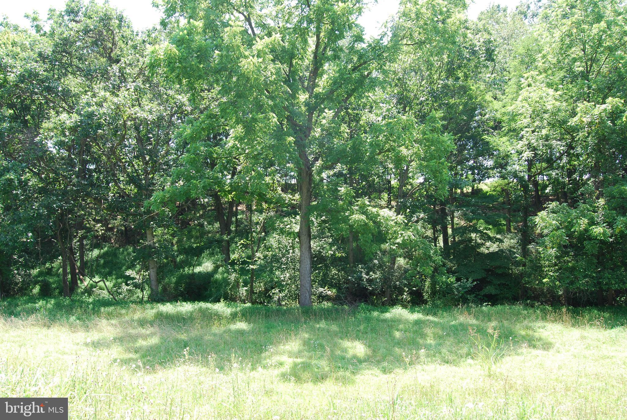 FOREST HEIGHTS - Residential