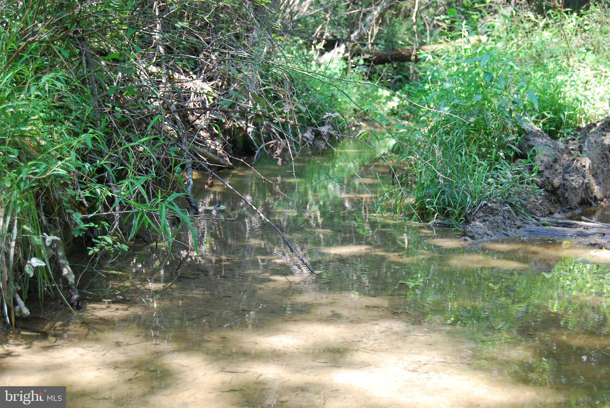 FOREST HEIGHTS - Residential