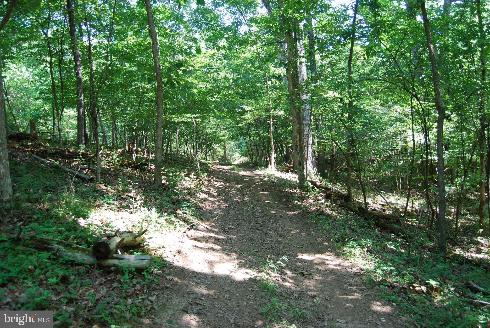 FOREST HEIGHTS - Residential