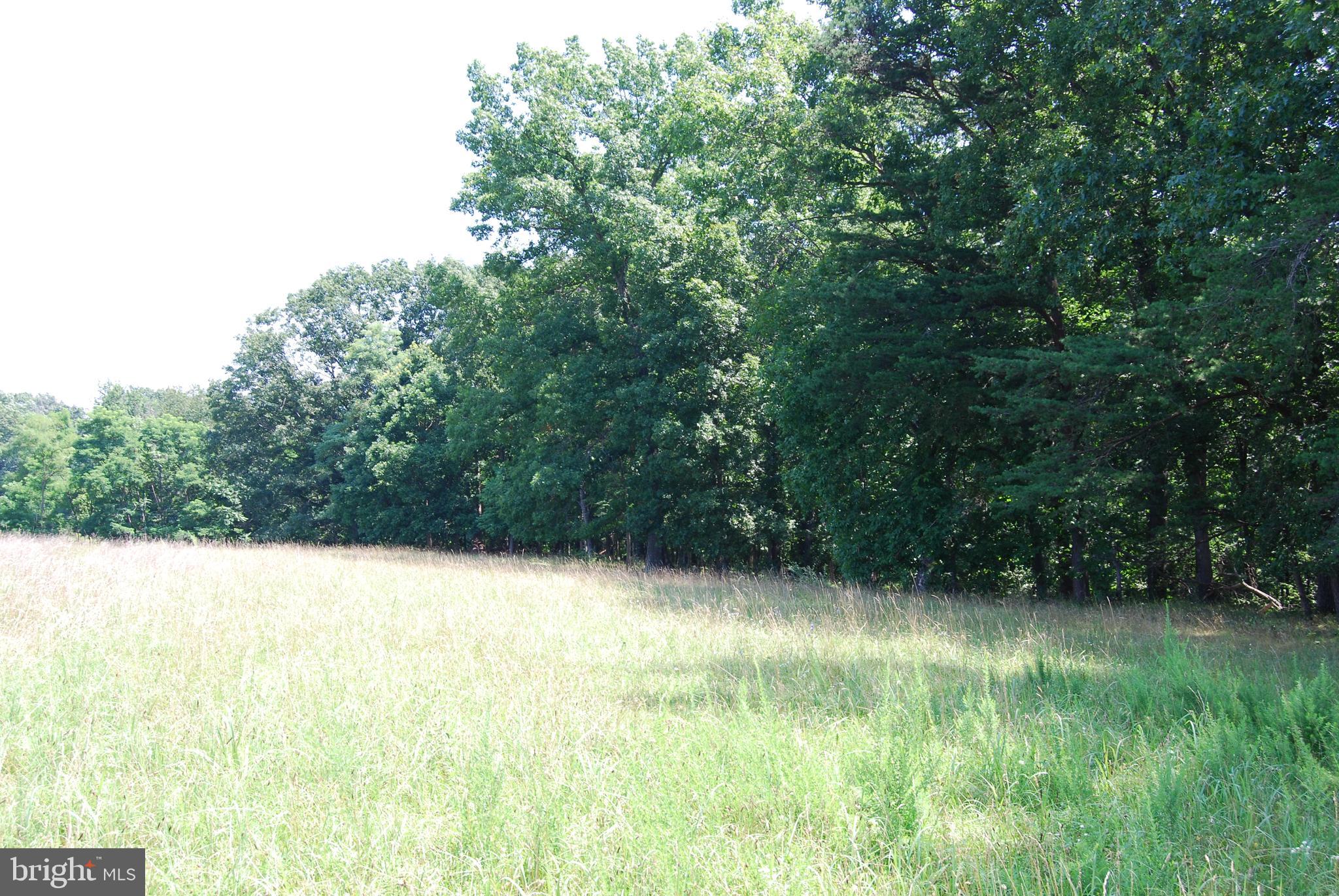 FOREST HEIGHTS - Residential