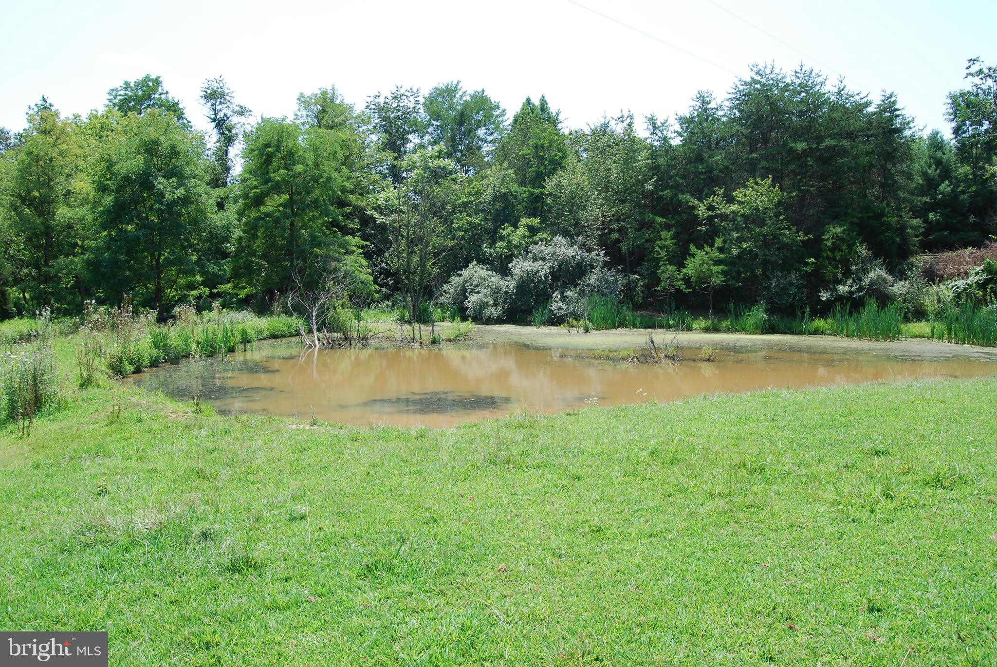 FOREST HEIGHTS - Residential
