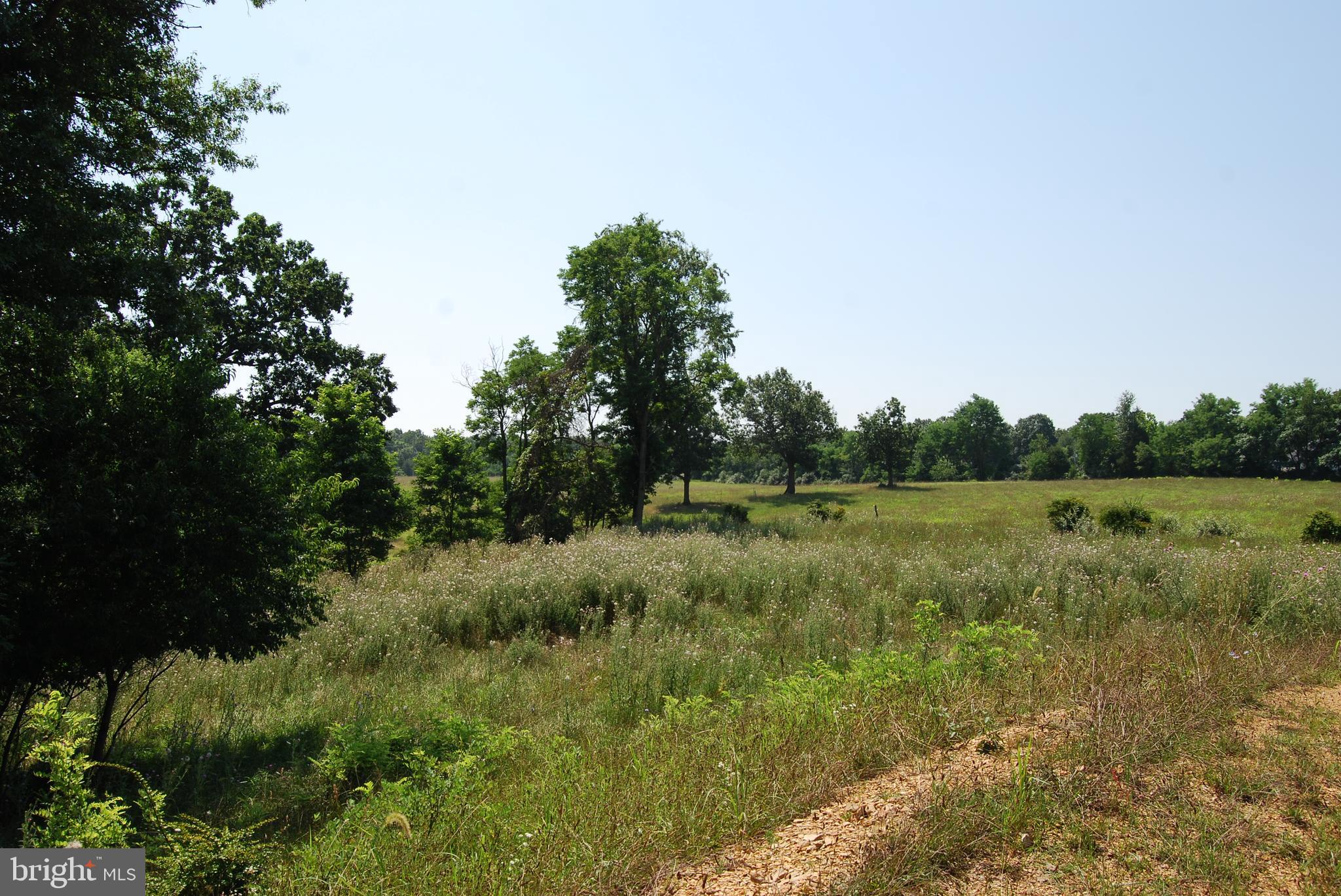 FOREST HEIGHTS - Residential