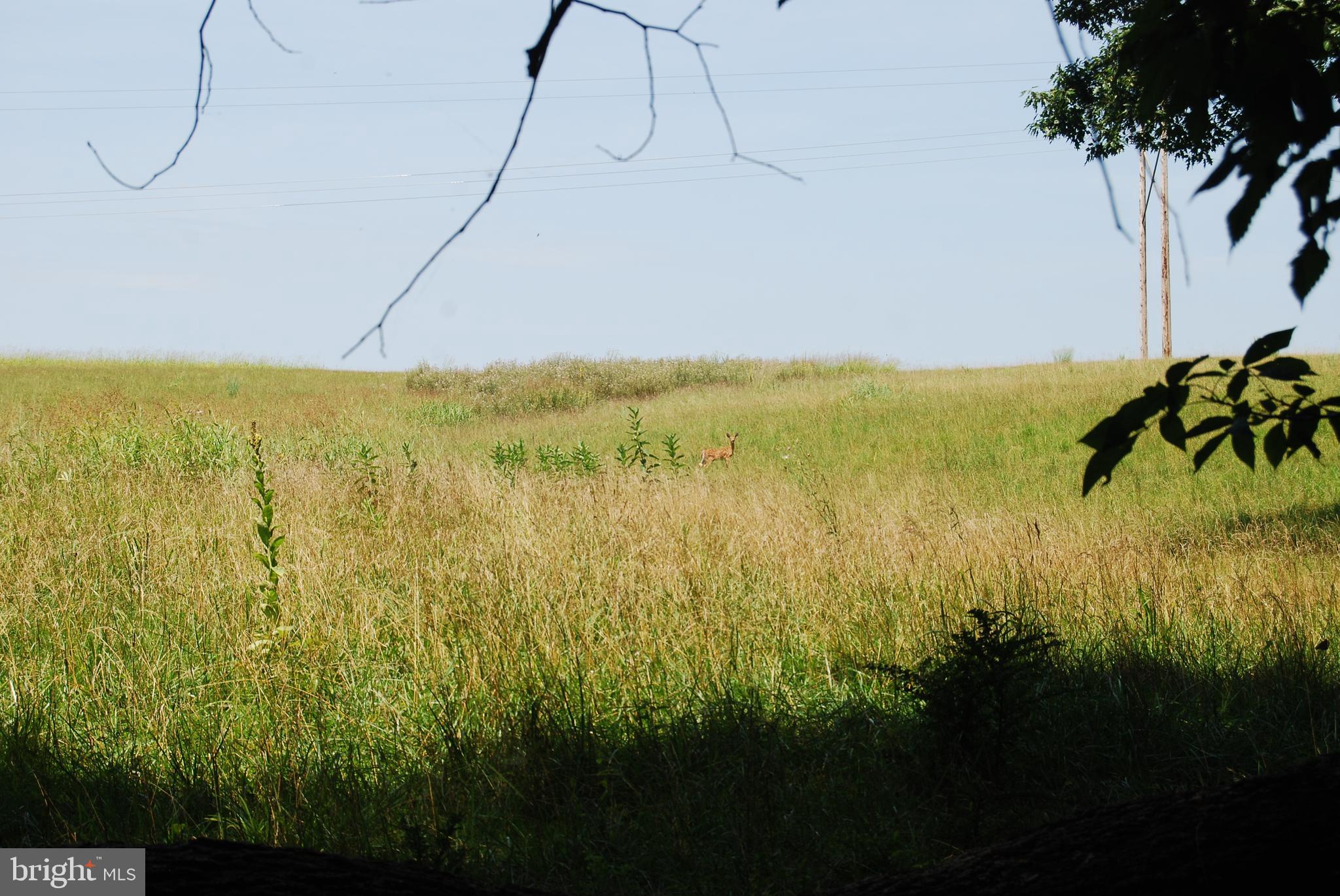 FOREST HEIGHTS - Residential