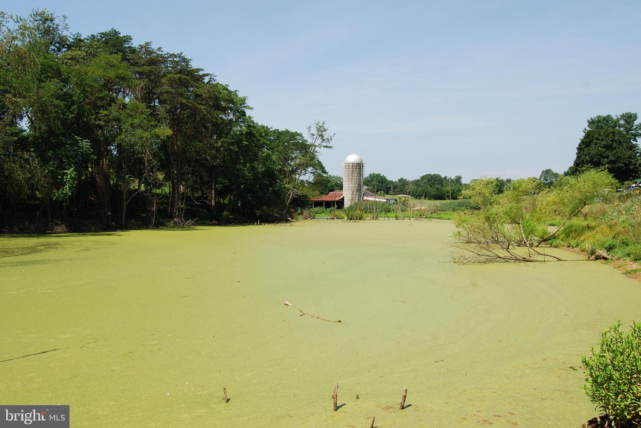 FOREST HEIGHTS - Residential