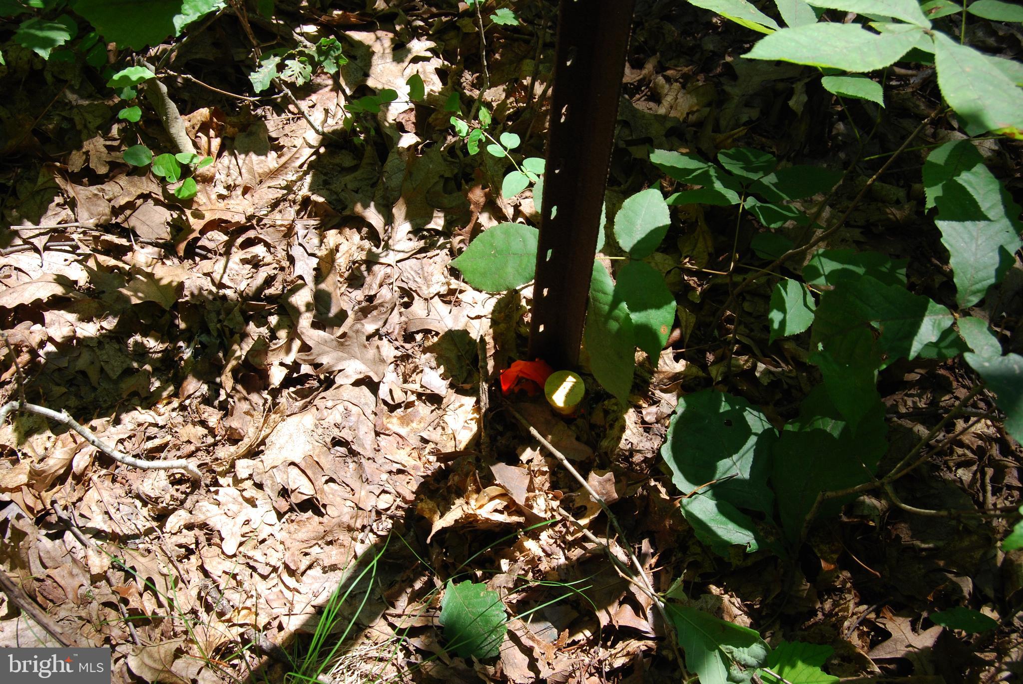 FOREST HEIGHTS - Residential