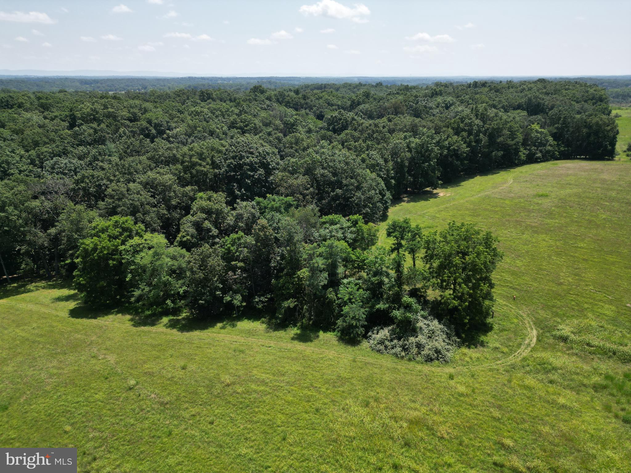 FOREST HEIGHTS - Residential
