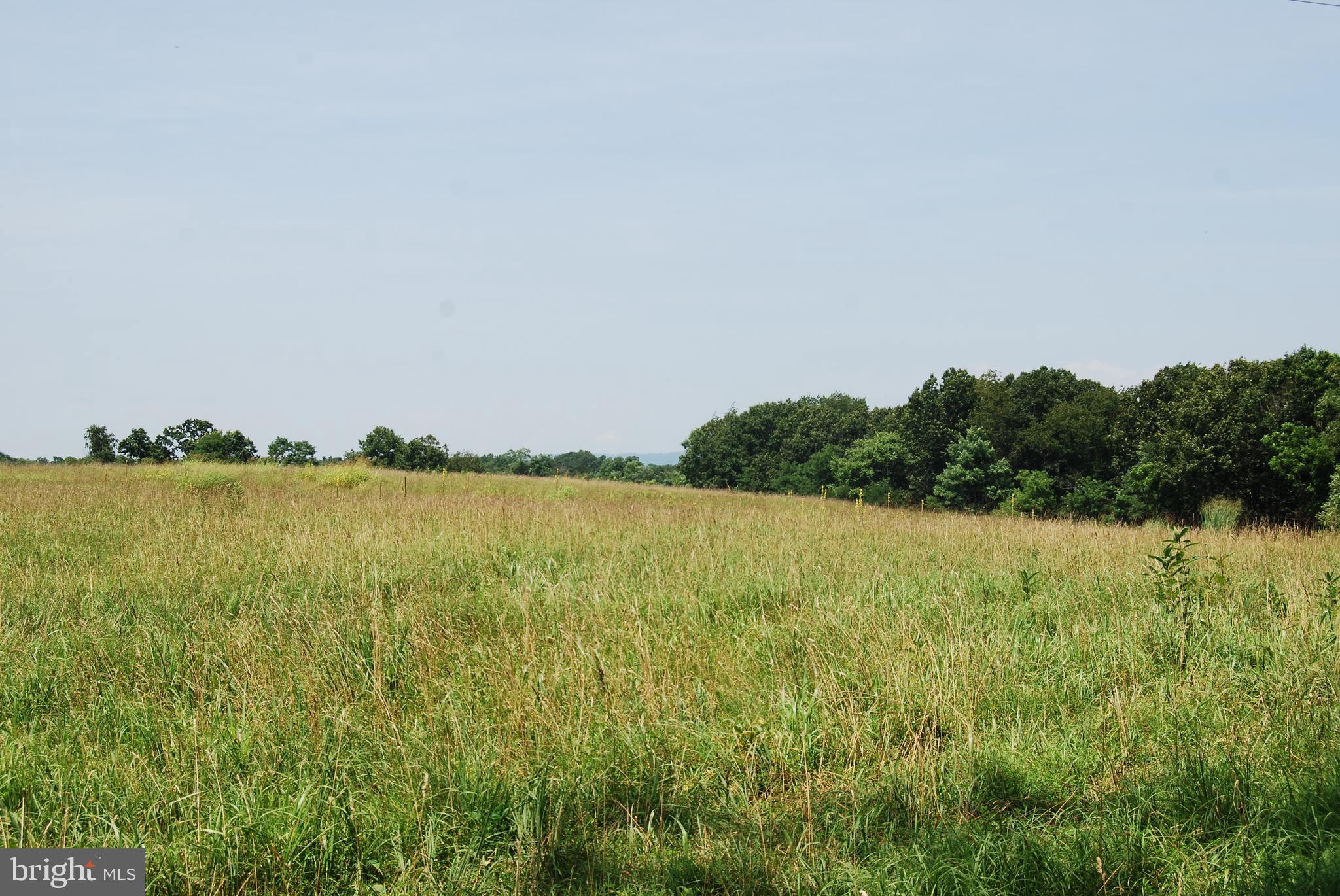 FOREST HEIGHTS - Residential