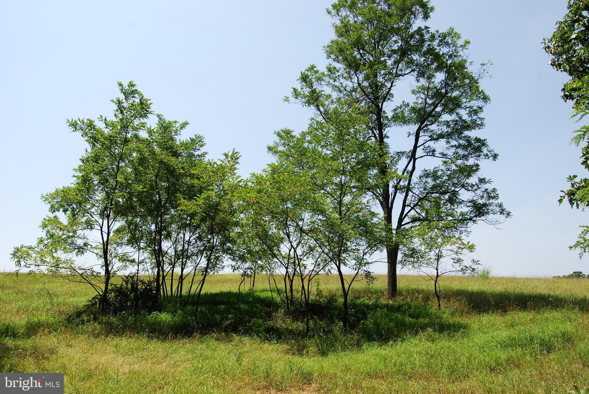 FOREST HEIGHTS - Residential