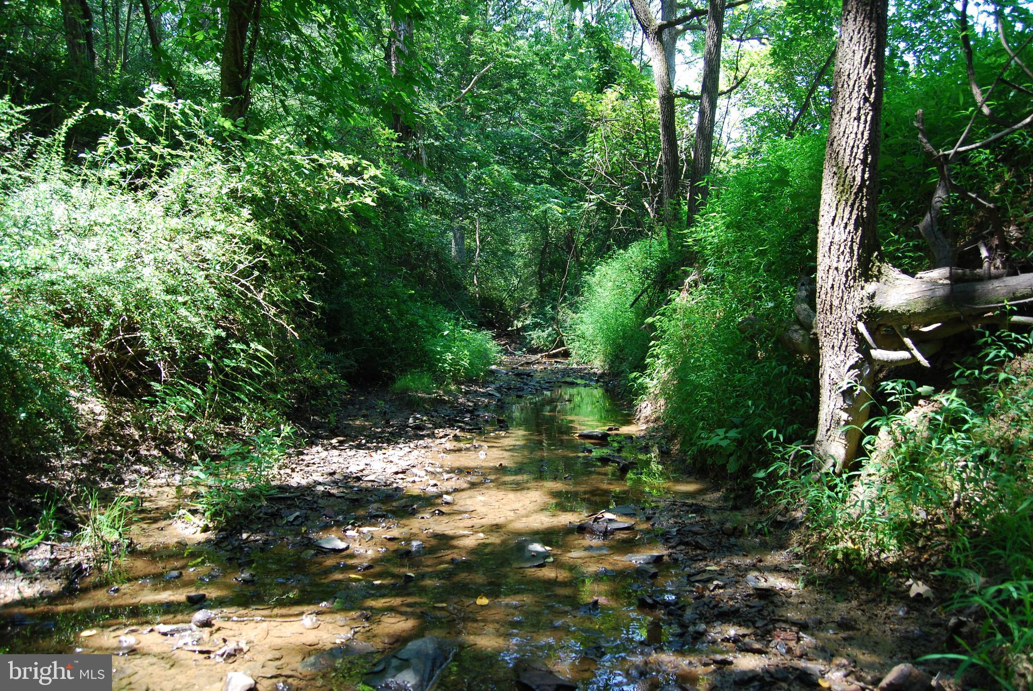 FOREST HEIGHTS - Residential