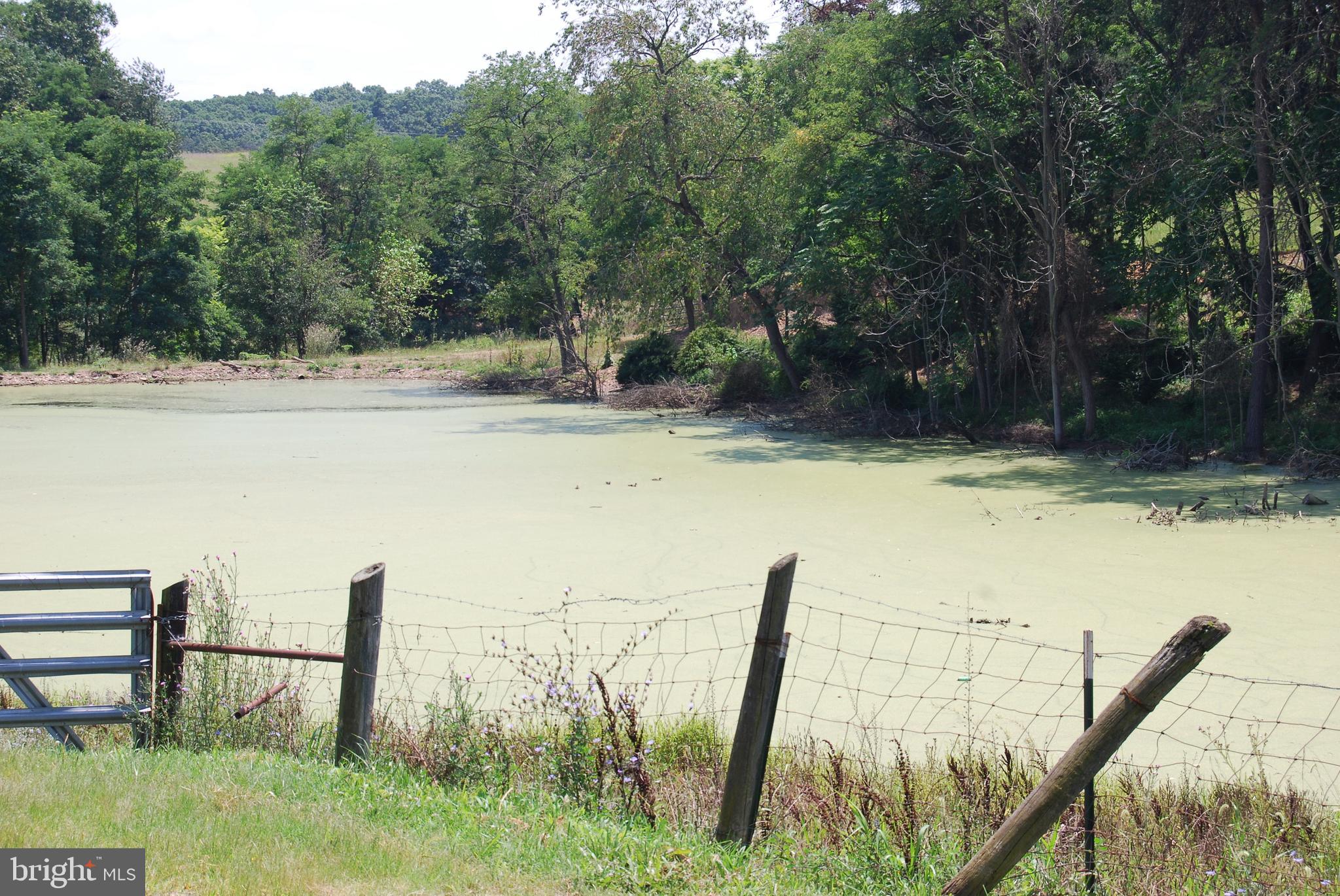 FOREST HEIGHTS - Residential