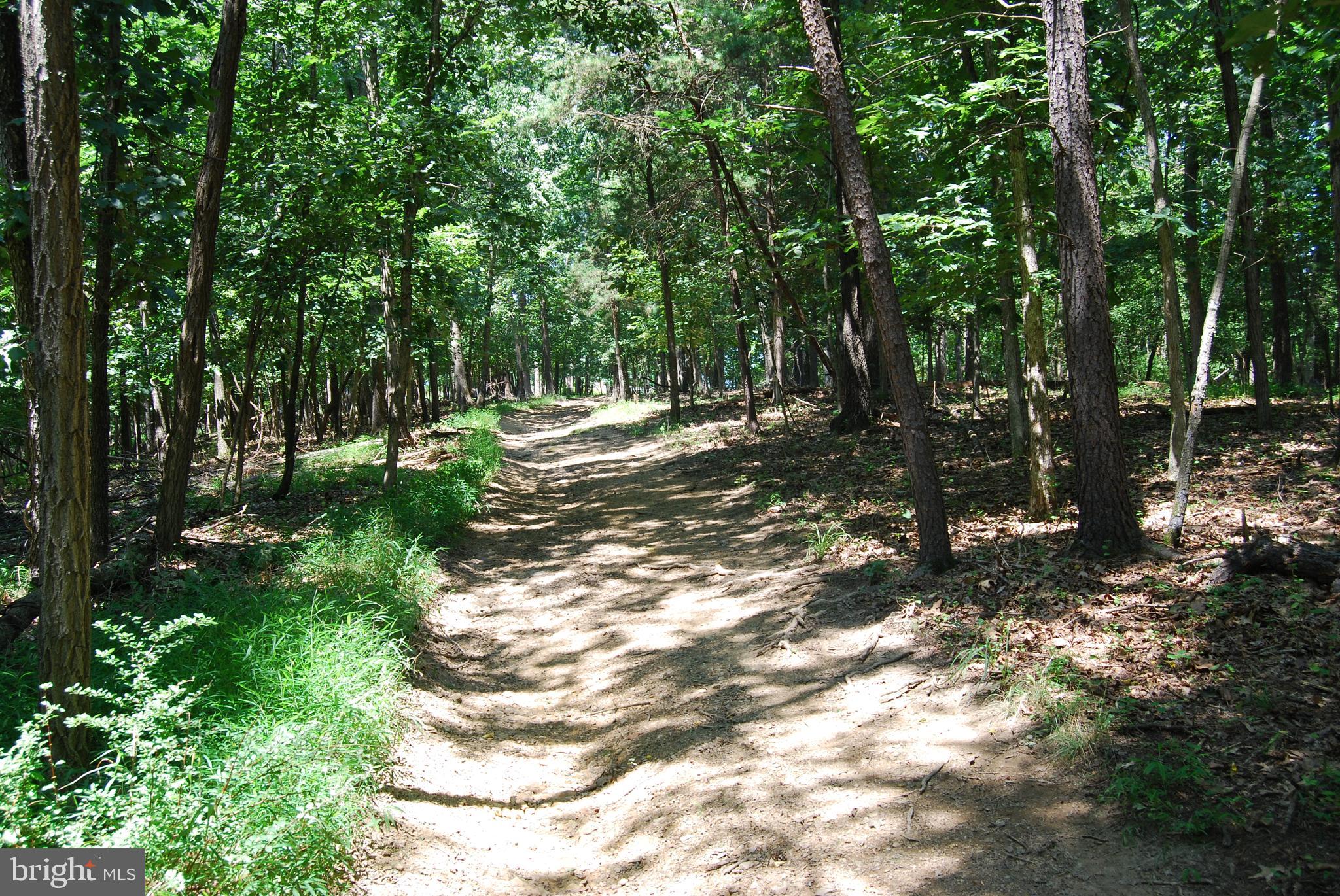 FOREST HEIGHTS - Residential