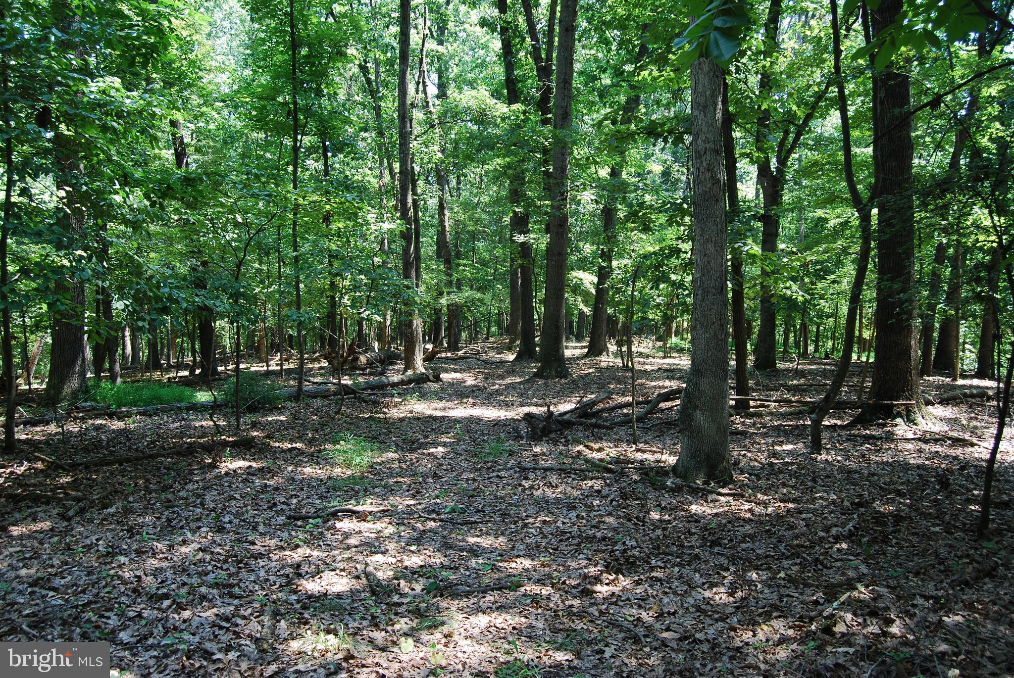 FOREST HEIGHTS - Residential
