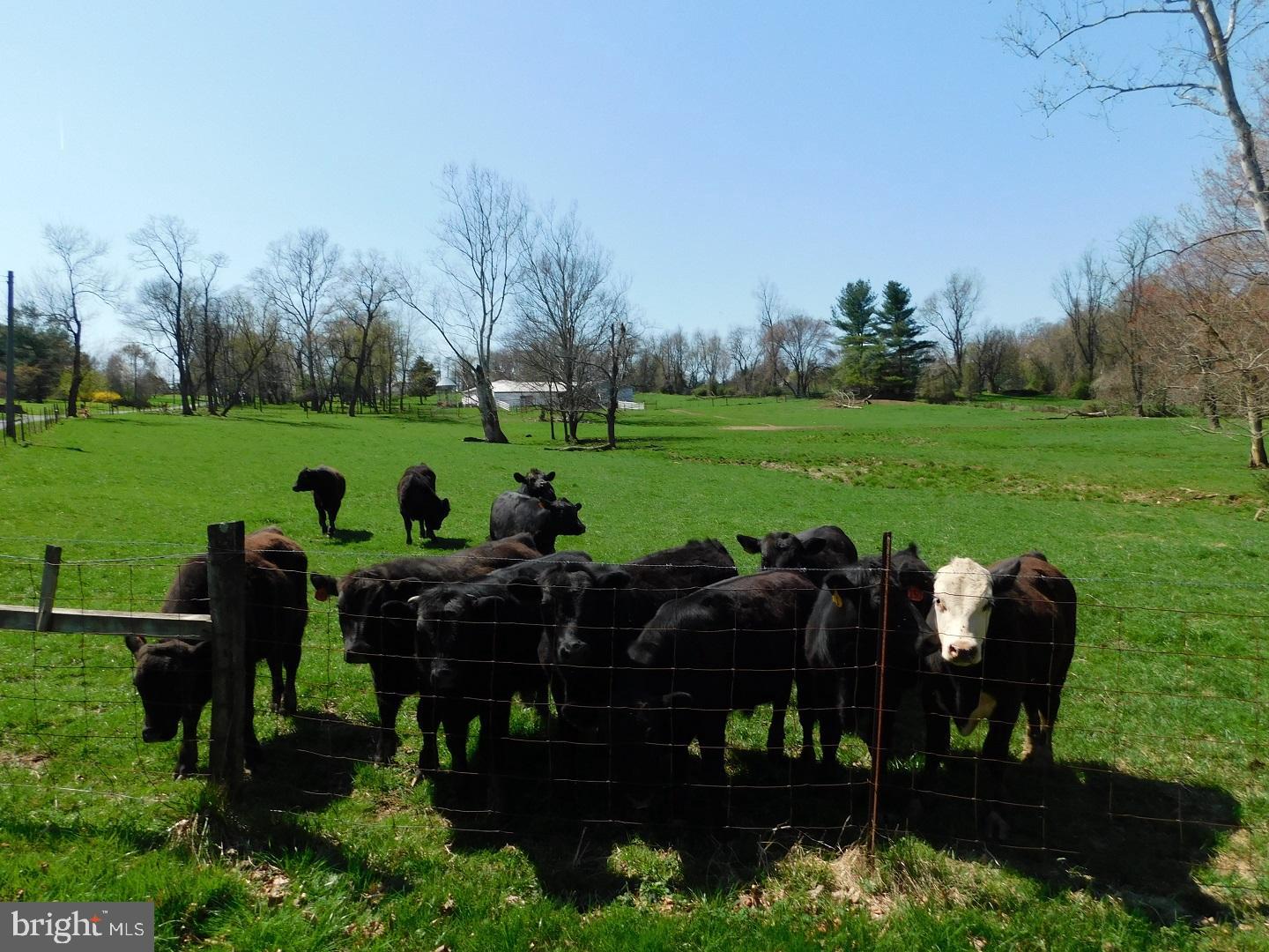 COLERAIN TOWNSHIP - Residential