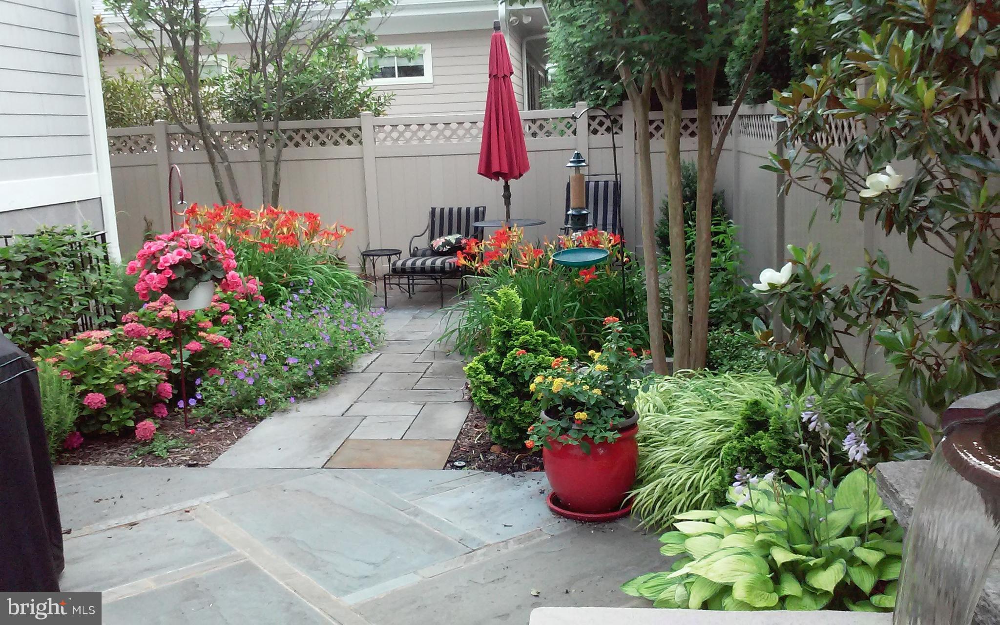 CHEVY CHASE GARDENS - Residential