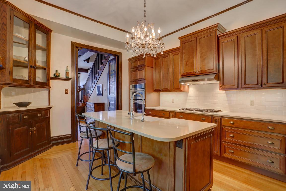 CHESTNUT HILL - Residential