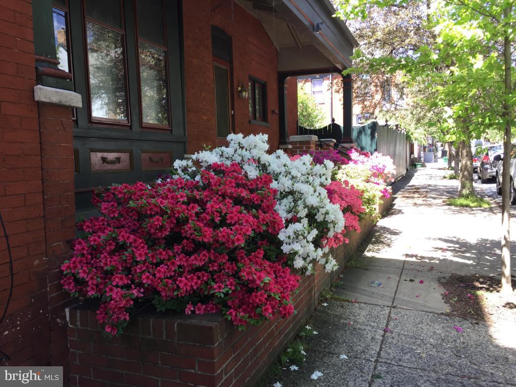 CHESTNUT HILL - Residential