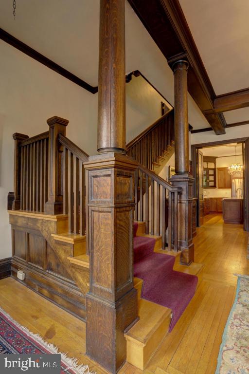 CHESTNUT HILL - Residential