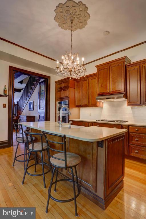 CHESTNUT HILL - Residential