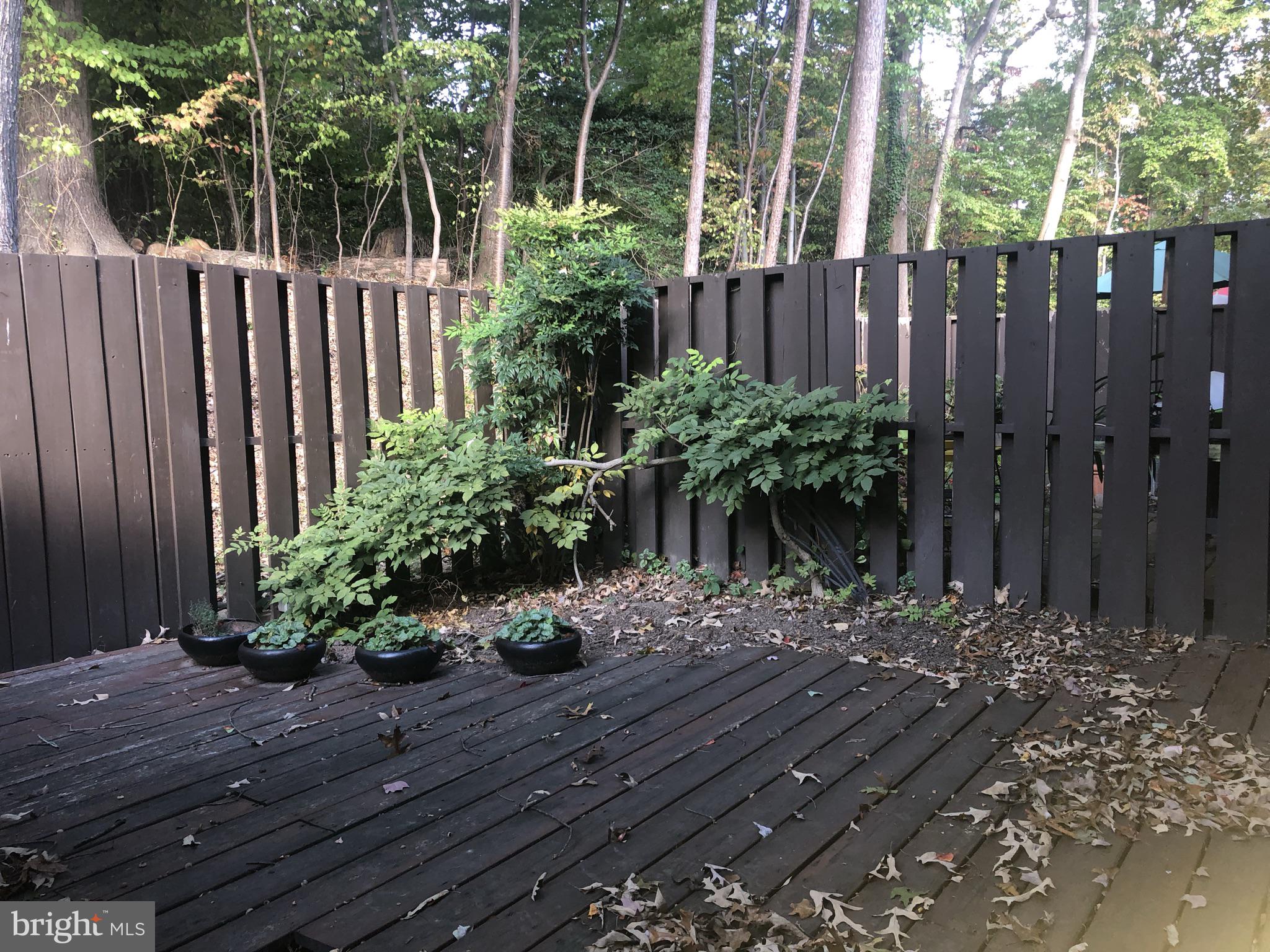 RESTON - Residential Lease