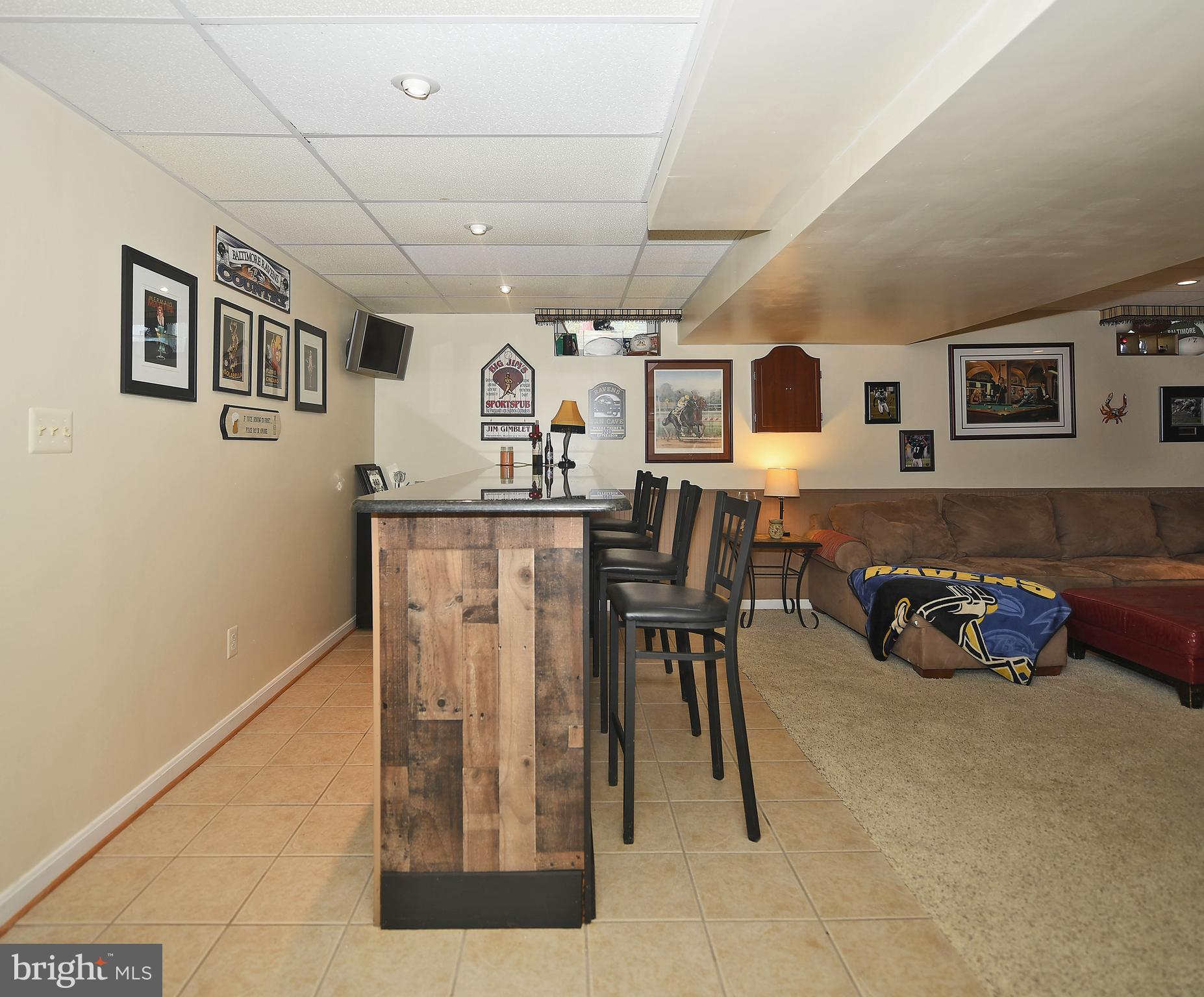 CASTLE BLANEY - Residential