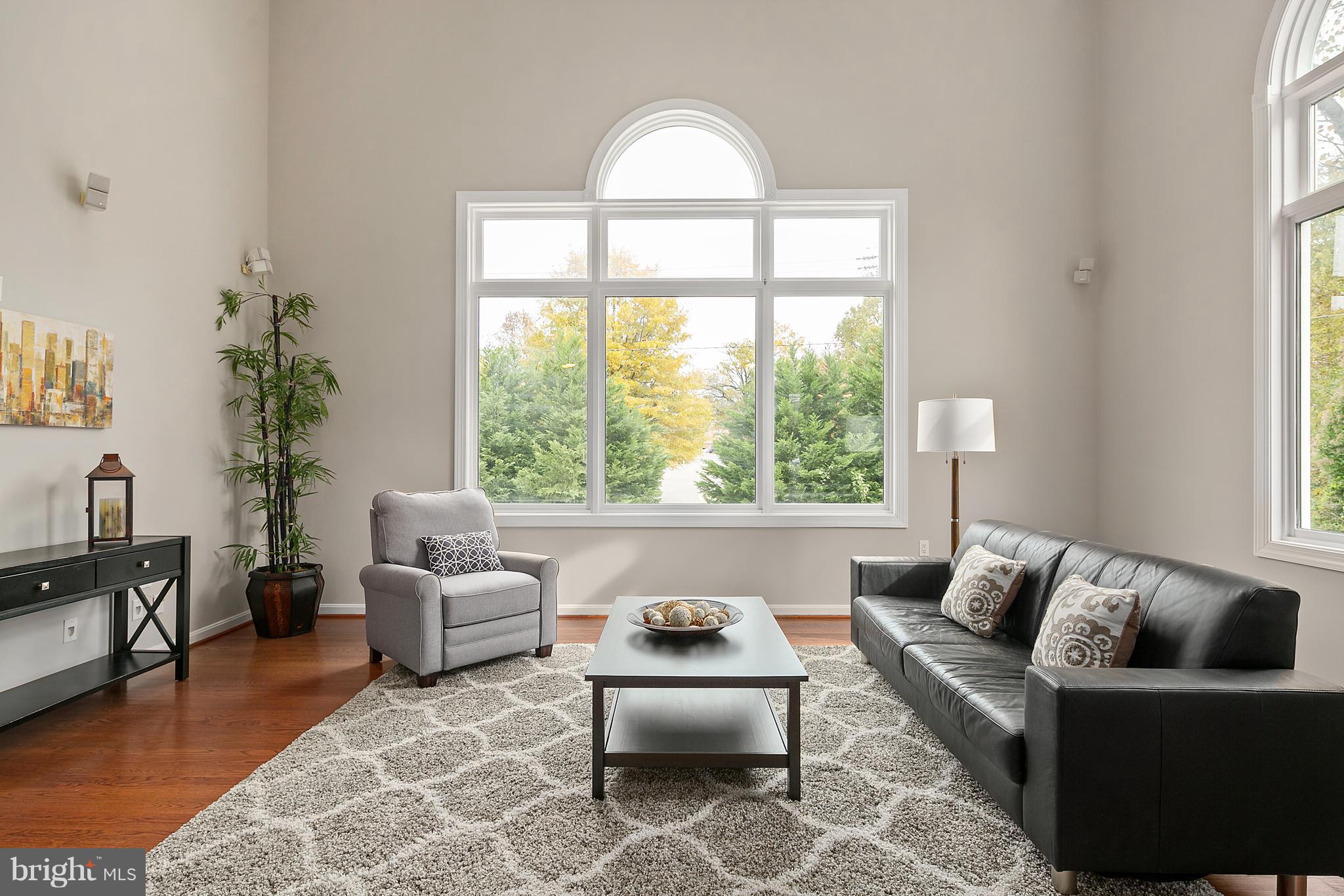 LACEY FOREST - Residential